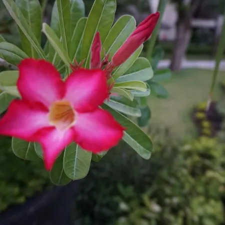 Ruby Nusa Dua Bali